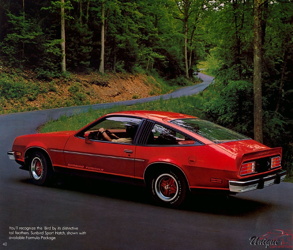 1980 Pontiac Brochure Page 11